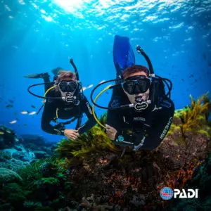 Cours Open Water Diver